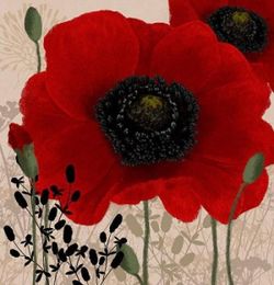 Framed Red I Hand Painted floral Wall Art Home Deco Oil Painting On Canvas.Multi sizes Fl0111673722