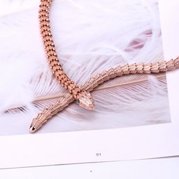 18k gold choker Pendants long necklaces for women trendy set snake Luxury designer jewelry Party Mother Christmas Wedding gifts Birthday Ladies girls banquet