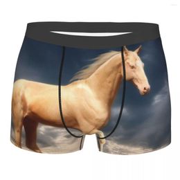 Underpants Male Cool Turkmen Achal Teke Horse Underwear Boxer Briefs Men Soft Shorts