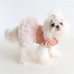 Cat Costumes Hanpanda Autumn/Winter Keep Warm Soft And Comfortable Wedding Dress Clothes Sweet Dog Pet Leisure Yarn Skirt