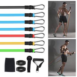 Resistance Bands Multifunctional Fitness Rally Band Set Stretching Exercise Equipment Elastic