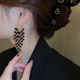 Dangle Earrings Black Long Tassels For Woman