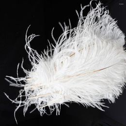 Jewellery Pouches White Ostrich Feather 190812305