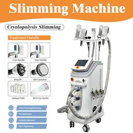 2022 Fat Freezing Slimming Body Sculpting with Double Cryo Handles/Double Chin Liposuction Head/40K/RF for Sale269