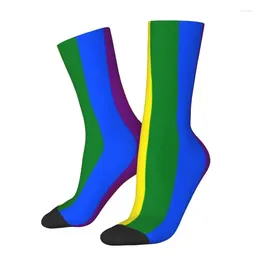 Men's Socks Cute Printing Gay Pride Flag Stripe For Women Men Stretch Summer Autumn Winter GLBT LGBT Rainbow Lesbian Crew