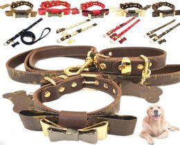 Sets Leather Luxury Flower Bow Pets Collars Old Fshion Leashes Peinted Cats Dogs Collar Adjustable Size Teddy Schnauzer3178296