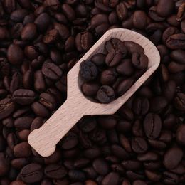 Measuring Tools 15 Pcs Seasoning Mini Wooden Tea Salt Coffee Flour Nuts Teaware Accessories