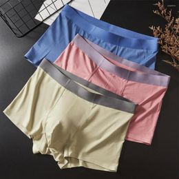 Underpants Mens Comfot Sleep Bottoms Sheer Seamless Convex Pouch Boxer Briefs Bikini Panties Shorts Underwear