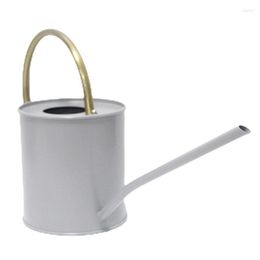 Watering Equipments Can Long Spout Indoor Plants Stainless Steel Pot For Outdoor And House Garden