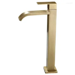 Bathroom Sink Faucets Retro Single Cold Water Faucet Outdoor Antique Tabletop Basin Wash Hands Courtyard Antifreeze And Elevated