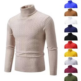 Men's Sweaters Sweater 2023 Winter High Neck Bottoming Shirt Slim Twist Solid Colour Couple Christmas Men Clothing