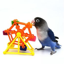 Other Bird Supplies Creative Bird Foraging Toys Parrot Feeder Rotate Ferre Training Intelligence Growth Cage Colorf Pecking Windmill T Dhfoi