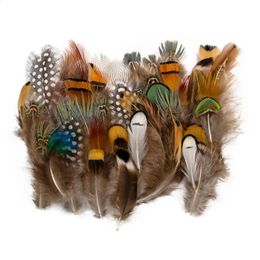 Other Event Party Supplies 50Pcs Wholesale Natural Peacock Pheasant Feathers for Crafts Jewelry Making Accessorie Wedding Decoration Dream Catcher Plumes 231118