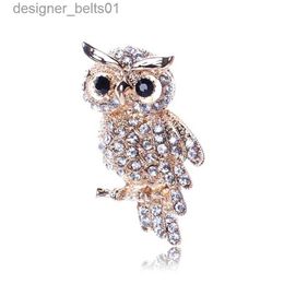 Pins Brooches Delicate Crystal Eyes Owl Brooches Korean Zinc Alloy Imitation Rhinestone Blue Brooch Badge Pin Women Gifts Accessories JewelryL231120