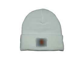 NEW Designer brand Knitted hat Men's women's Autumn and winter outdoor sport Warm cotton hats F-2