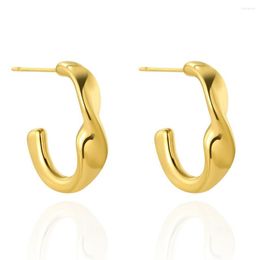 Hoop Earrings WILD & FREE Stainless Steel Irregular For Women Exquisite Gold Plated C-Shaped Waterproof Jewelry