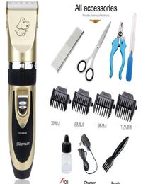 Professional Pet Cat Dog Dog Grooming Kit Rechargeable Electrical Clipper Shaver Pet Fur Nail Accessories6461900