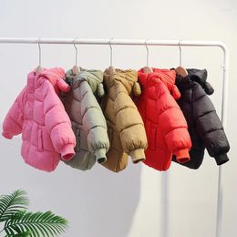 Jackets Kids Down Outerwear Winter Cotton-Padded Clothes Boys Girls Thicken Warm Parka Coats Children Hooded 2-6 Years