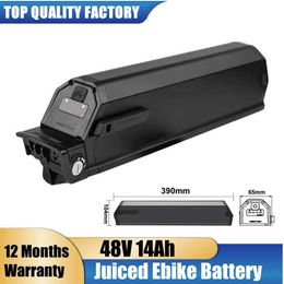 Eahora AM100 AM200 Replacement Electric Bike Battery Dorado 48V 12.8Ah 14Ah Aventon Pace 500 M2S Ebike Lithium Battery w/Charger