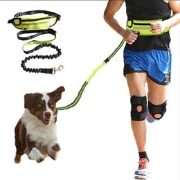 Dog Collars Leashes Hands Free Leash for Running Walking Reflective with Waist Bag Retractable Elastic Belt Traction Rope Pet Products 231118