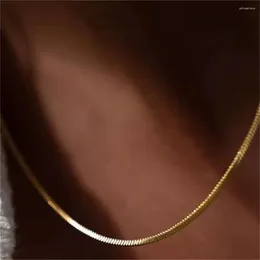 Chains Stainless Steel Basic Chain MenChoker Necklace Simple 3mm Gold Color For Women Fashion Jewelry Trend Accessories