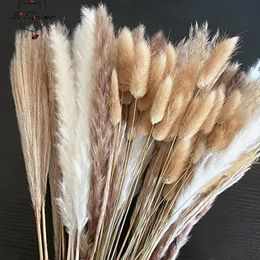 Decorative 100Pcs Fluffy Pampas Dried Flowers Bouquet Home Decor Natural Bunny Rabbit Tail Grass Artifical Flower Wedding Party Decoration 231120