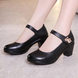 Dress Shoes Shallow Plus Size 32-43 High Heel Women Pumps Block Heels 2023 Spring Platform Comfort Office Ladies