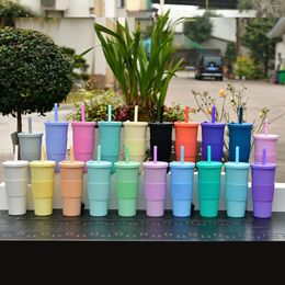 Tumblers Creative Straw Water Cup Heat Insulating Hand Rest Pp Plastic And Cleaning Brush Double 700ml