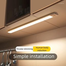 Wall Lamps Night Light Led Under Cabinet Motion Sensor Closet USB Rechargeable Kitchen Lighting Lamp