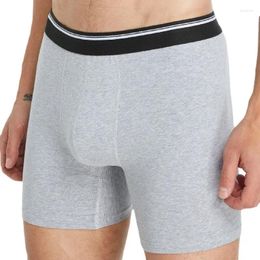 Underpants Men's Underwear Antibacterial Pure Cotton Men Boxer Shorts Moisture Absorbent Elastic Male Panties
