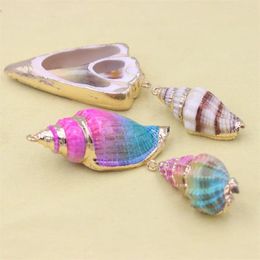 Charms Trend Fashion 5Pcs/Pack Natural Large Mix Color Sea Conch Shell Bead Making For Pendant Necklace Bracelet Jewelry DIY Accessries