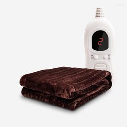 Blankets Controller Single Electric Blanket Winter Plumbing Household Heated Carpet Verwarming Warming Products BB50GP