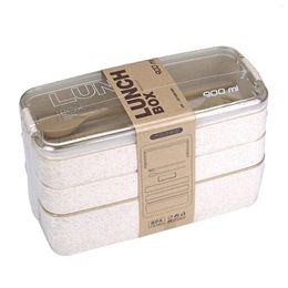 Dinnerware Sets Wheat Straw Plastic Lunch Box Frame Microwave Bento Of Fruit Light Boxes Canisters