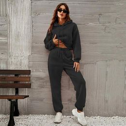 Women's Two Piece Pants 2Pcs/Set Drawstring Elastic Waist Pockets Casual Outfit Women Autumn Winter Hooded Cropped Sweatshirt High Set