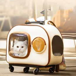 Cat Carriers Cute Outdoor Cats Handbagsanimal Suitcase Kitten Pet Travel Mochila Para Gatos Products