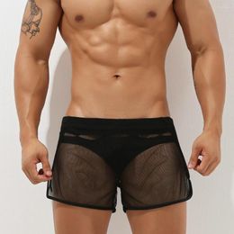 Men's Swimwear Men Mesh Sexy Swimming Trunks See Through Gay Shorts Underpants Home Pants Summer Beachwear Bathing Slips