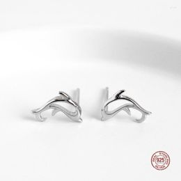 Stud Earrings LKO Real 925 Sterling Silver Mini Dolphin Ear Studs Small Animal Exquisite Cute For Women Girls Gift Jewelry