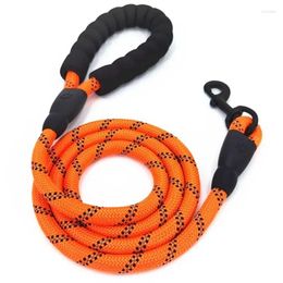 Dog Collars Reflective Duarable Nylon Cat Leash Collar Small Medium Large Dogs Anti-lost Round Traction Rope Necklace Chain Pet Supplies