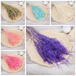 Decorative Flowers 25/50PCS Real Wheat Ear Flower Decoration Natural Pampas Tail Grass Dried For Wedding Party DIY Craft Scrapbook