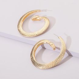 Hoop Earrings European American Exaggerated Snake Women Creative Animal Party Jewellery