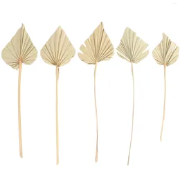 Decorative Flowers Palm Leaves Dried Decor Leaf Tropical Natural Party Flower Fan Pampas Decorations Grass Fans Faux Decoration Stem Vase