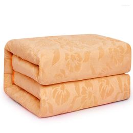 Blankets Thermal Bed Double Electric Blanket Body Warmer Single Economic Heating House Portable Pad SY50EB