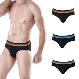 Underpants 3pcs Men Underwear Briefs Slip Man Triangular Trunks Cotton Men's Panties Pack Male Intimate Shorts Underpanties