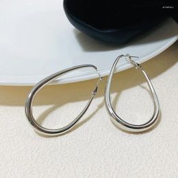 Hoop Earrings Punk Hiphop Big Oval Earring For Women Girls Party Birthday Jewellery Gift E137