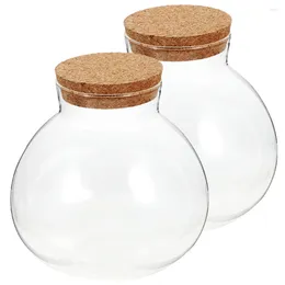 Vases 2 Pcs Micro Landscape Ecological Bottle DIY Empty Moss Container Glass Planter