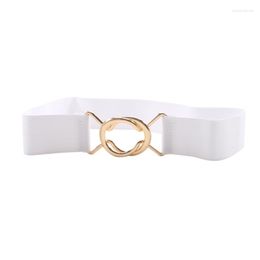 Belts Women Black Waist Elastic Ladies Band Round Buckle Decoration Coat Sweater Fashion Dress Beige White