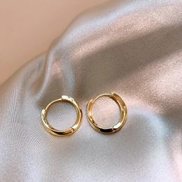 Hoop Earrings Women's European And American Fashion Personality Temperament Simple Metallic Elements Jewellery Gifts