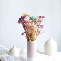 Decorative Flowers Natural Preserved Mi Flower Display For Wedding Party Home Decoration Accessories High Quality Artificial Arrange