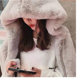 Women's Fur Women 2023 Autumn And Winter Faux Korean Version Loose Fitting Hooded Plush Coat Recommend Time Limited
