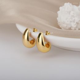 Stud Earrings Stainless Steel Hook For Women Pin Minimalist Chic Baroque Style Elegant Female Jewelry Delicate Earring Gift 2023